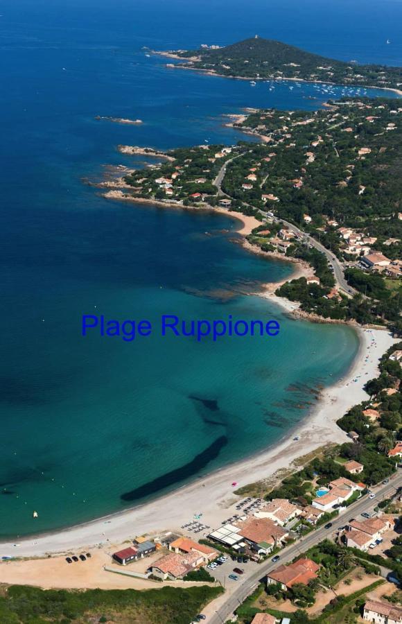 Vue Mer Panoramique Plage 50M Porticcio Corse Exterior foto
